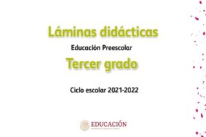 Libro Laminas didácticas Preescolar 3 (2022) – Descargar en PDF