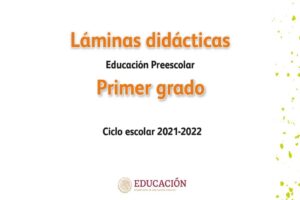 Libro Laminas didácticas Preescolar 1 (2022) – Descargar en PDF